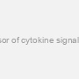 Rat Suppressor of cytokine signaling 3 (Socs3)